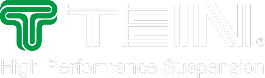 TEIN Logo
